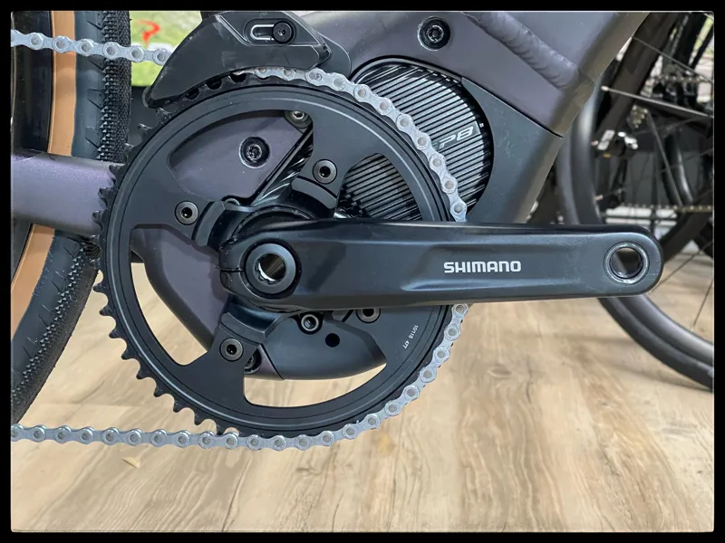 Giant Revolt E+ Pro XR 25km/h Medium Rosewood 2021-5